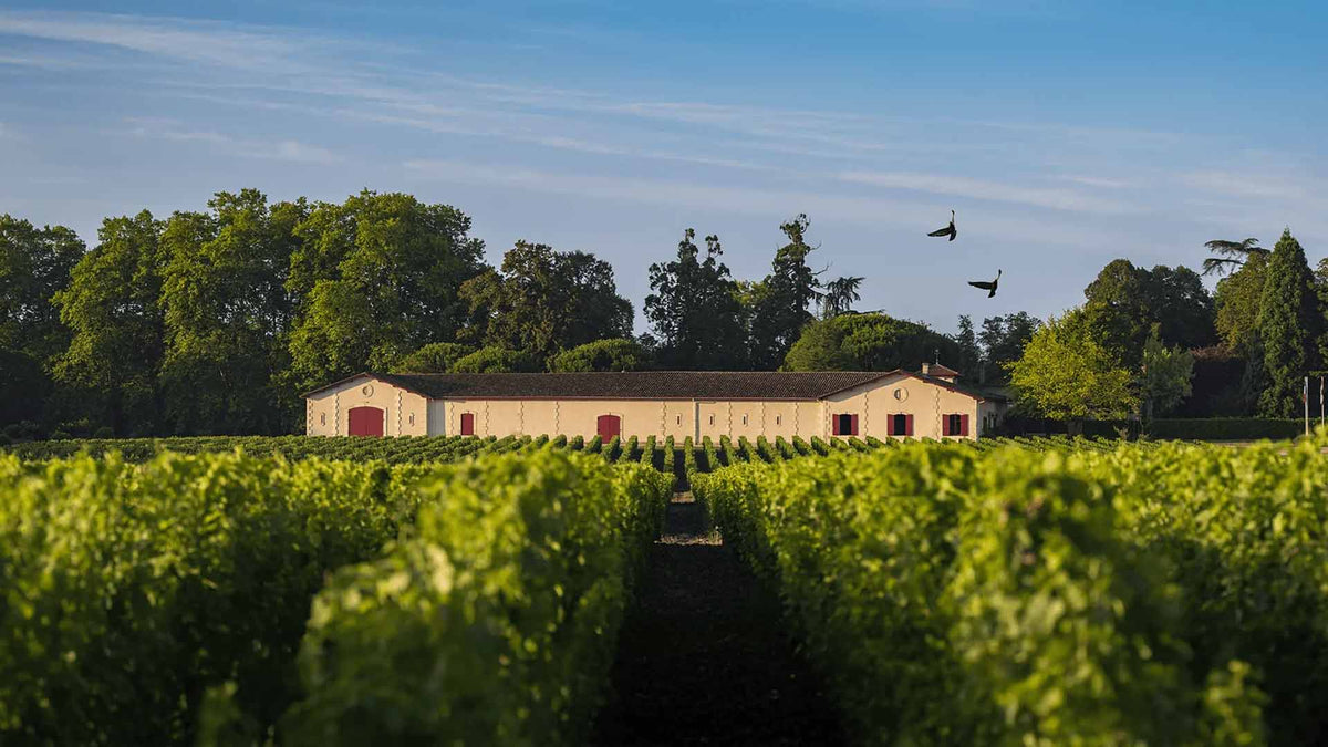 Château Brown