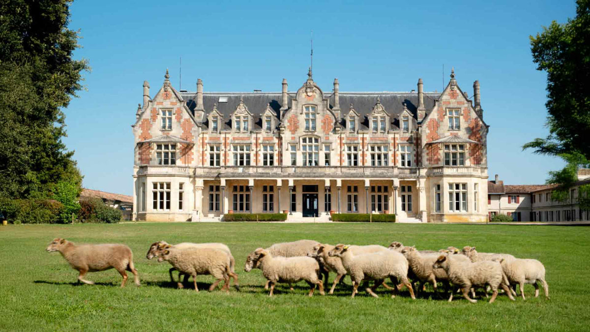 Château Cantenac Brown