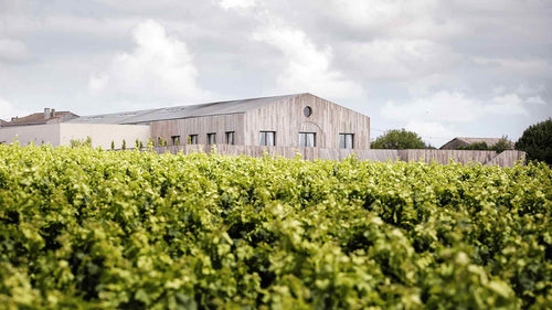 Château Clerc Milon