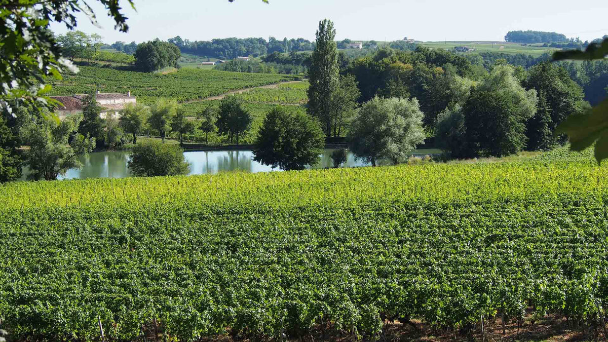 Château Clos de Boüard