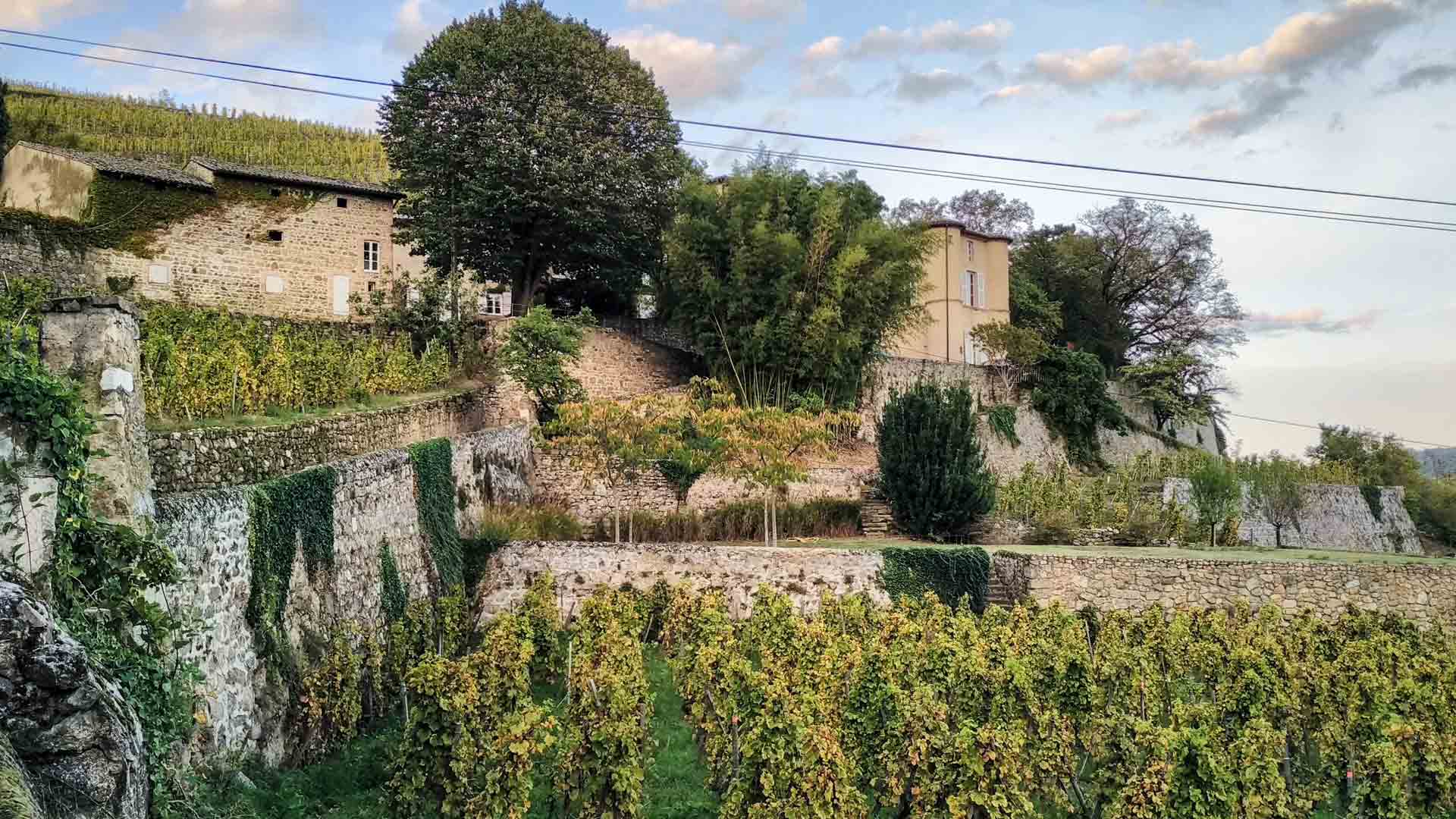 Château Grillet