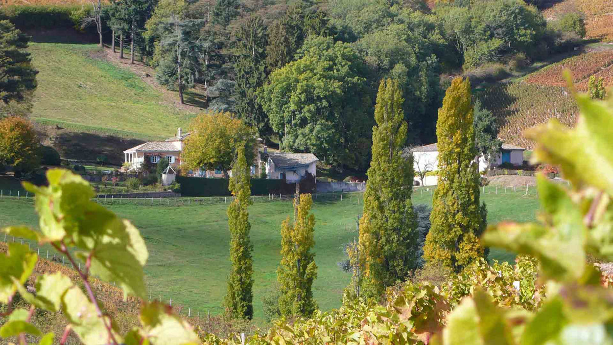 Château Javernand