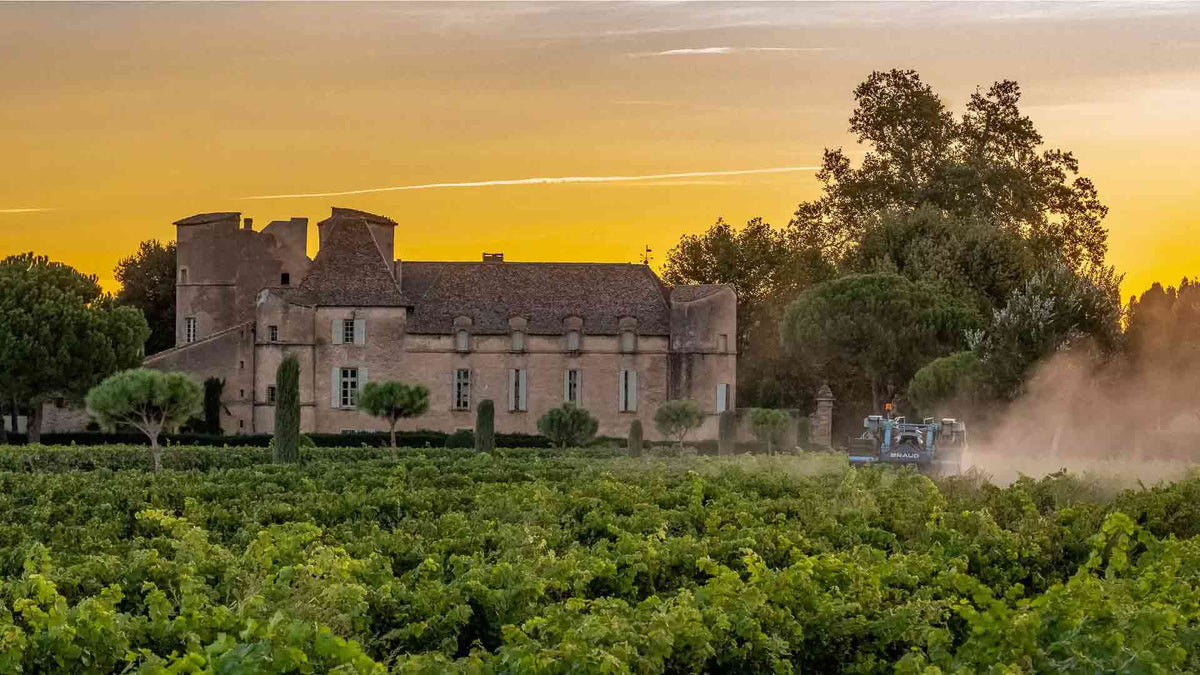 Château L'Ancien Orme