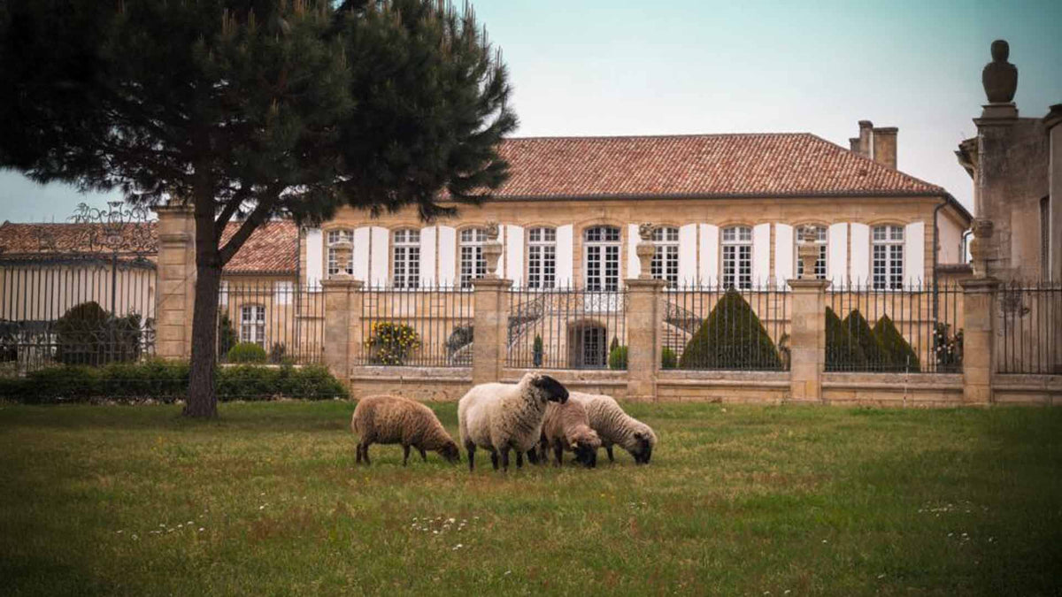 Château La Lagune