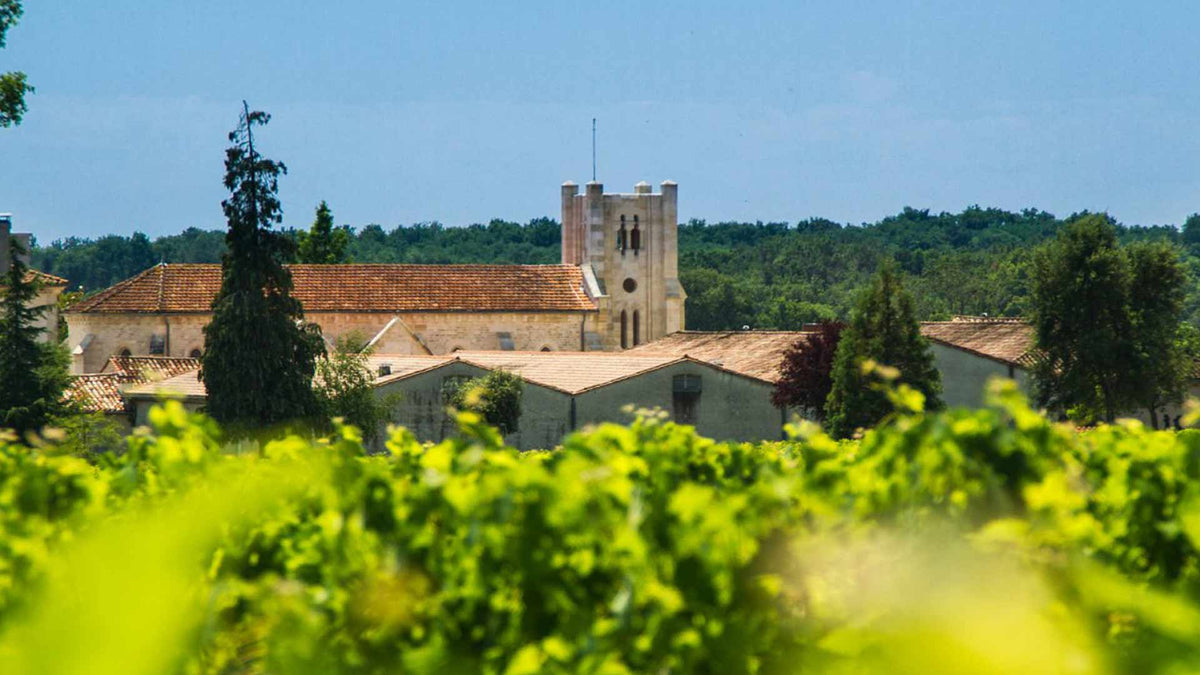 Château Potensac