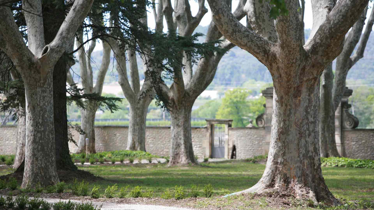 Château Saint-Jean