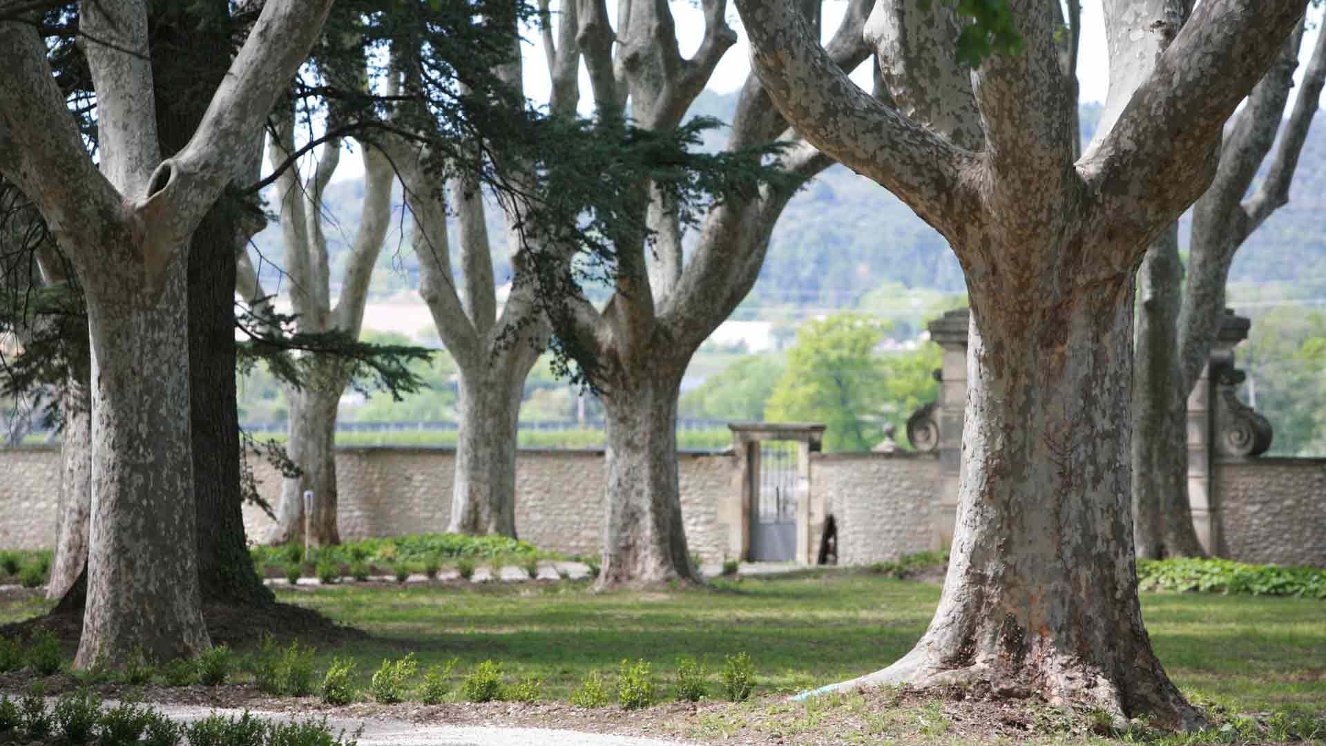 Château Saint-Jean Image