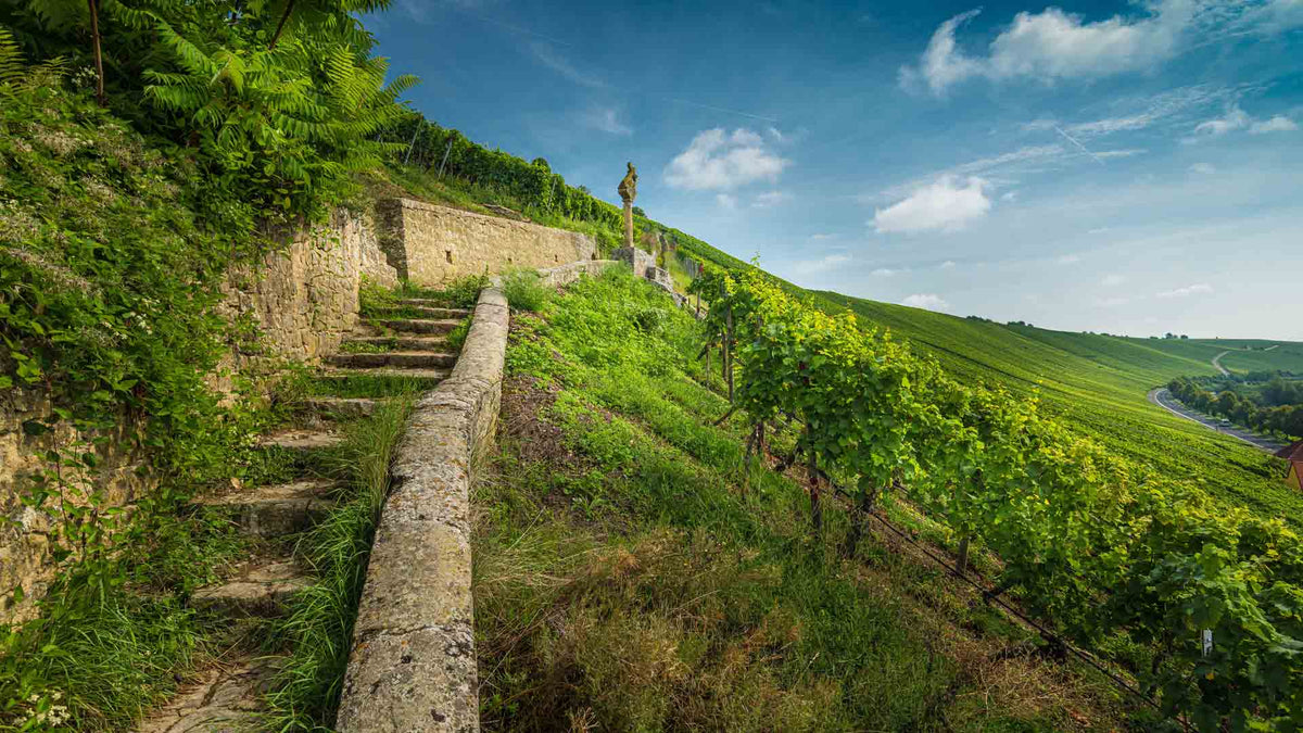 Château Soutard-Cadet