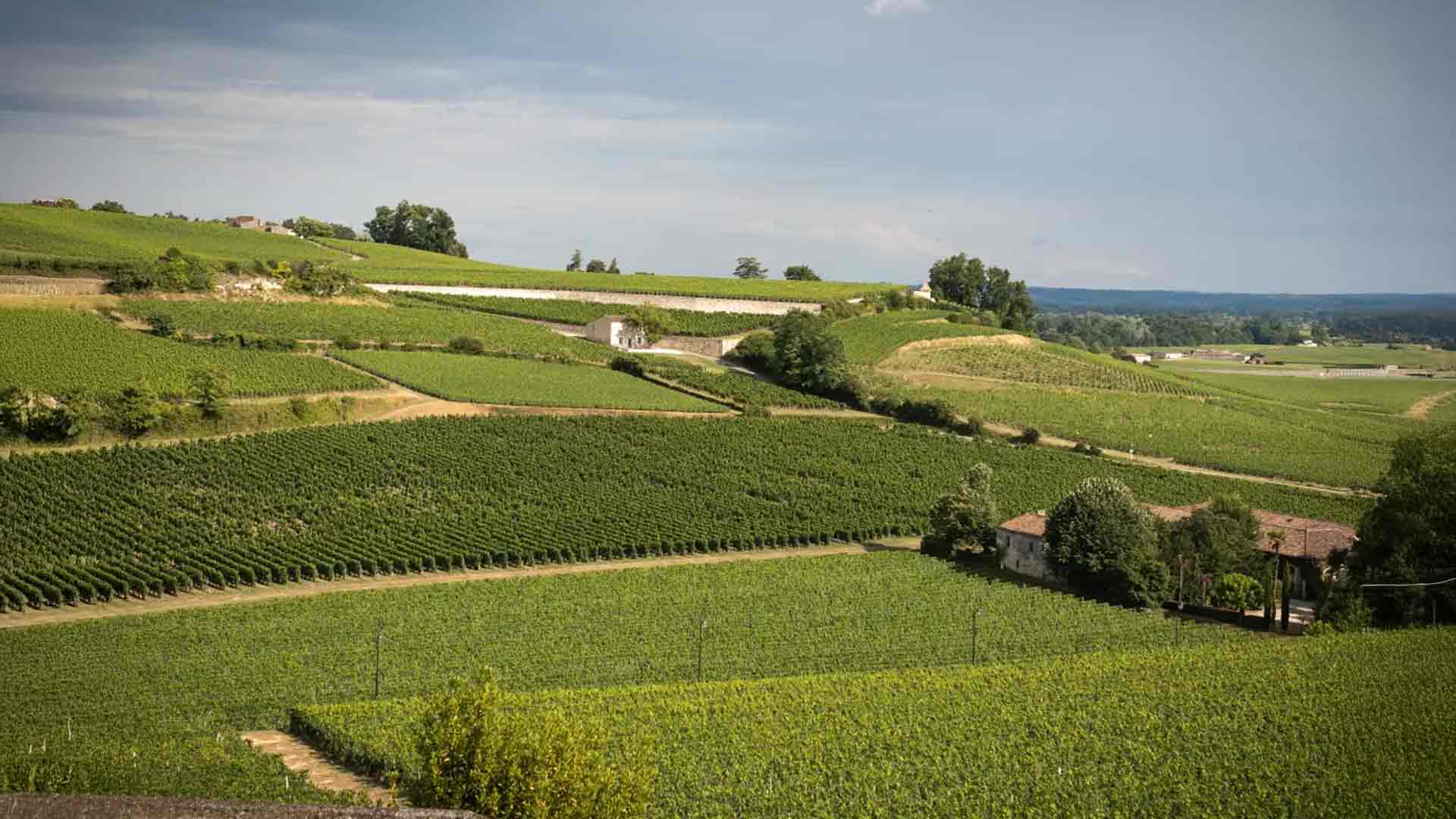Château Harmonie Image