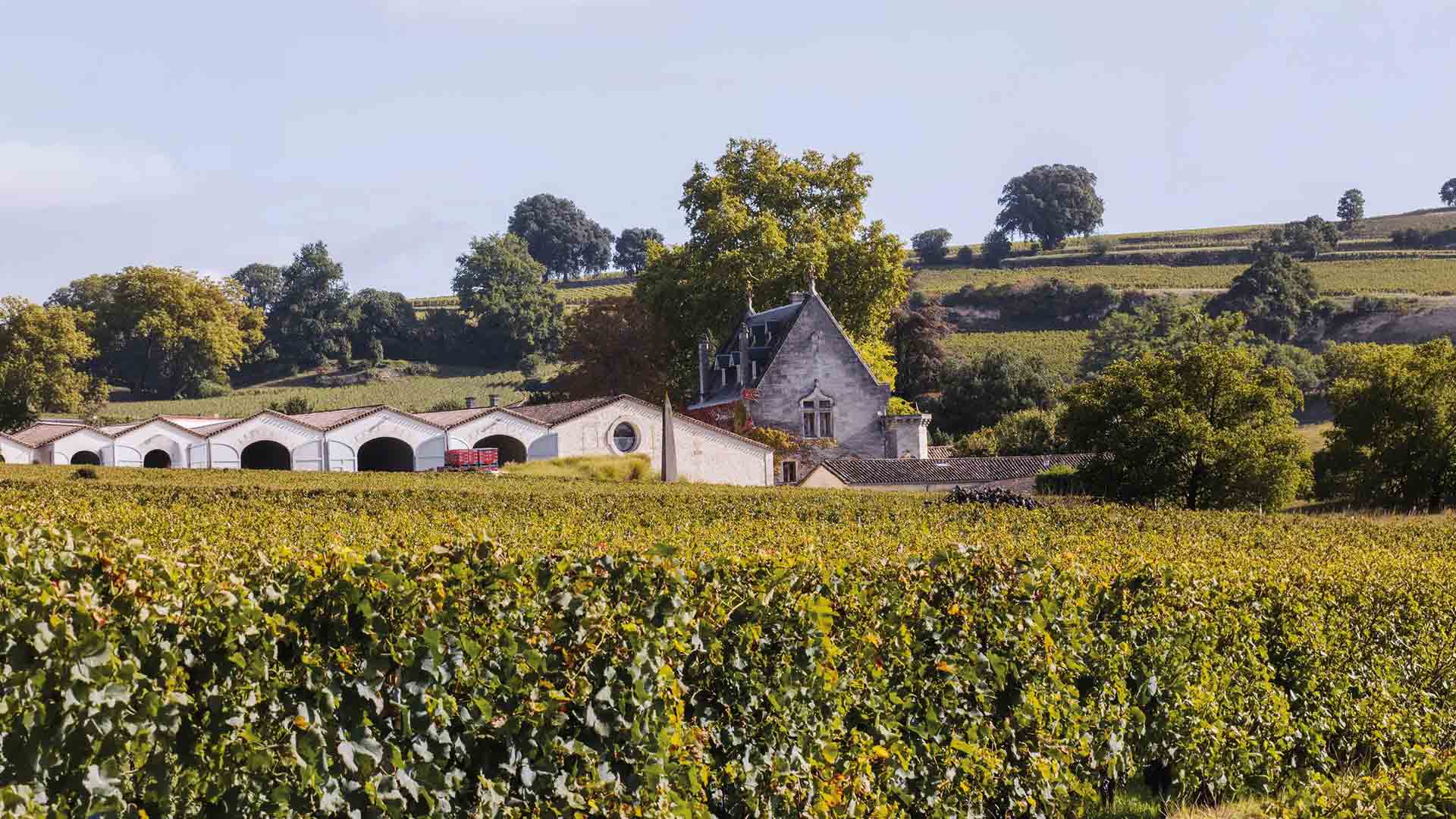 Clos La Gaffelière Image