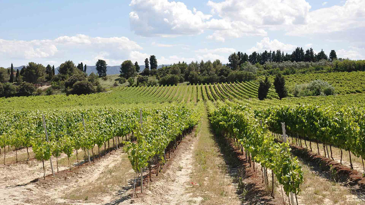 Clos des Fées