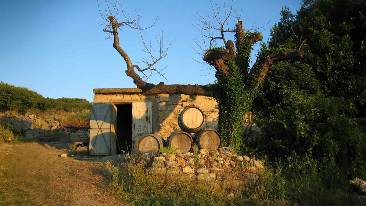 Clos des Nines