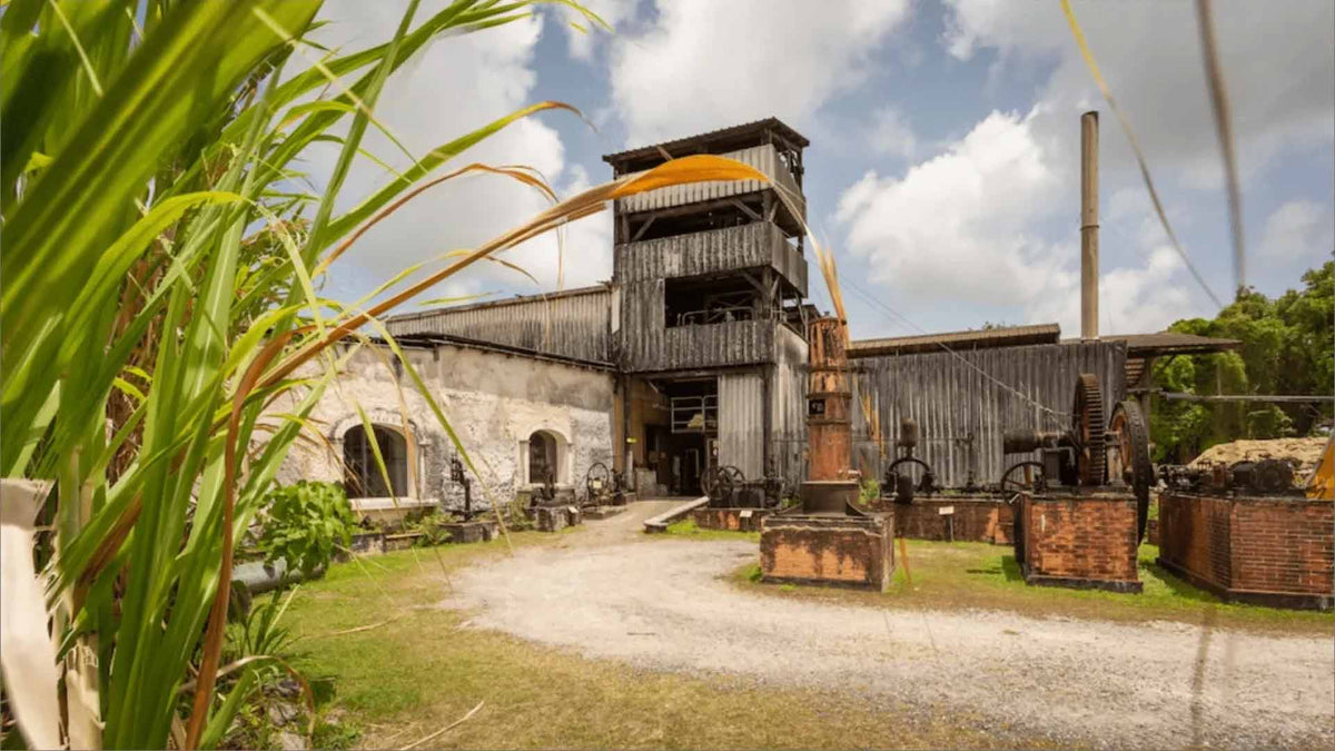 Distillerie Bielle