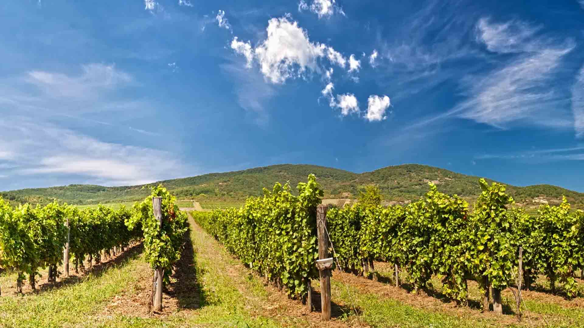 Disznókő Image