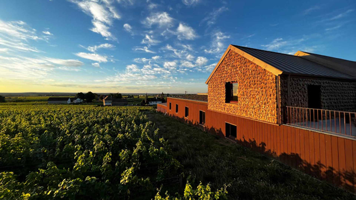 Domaine Amiot-Servelle