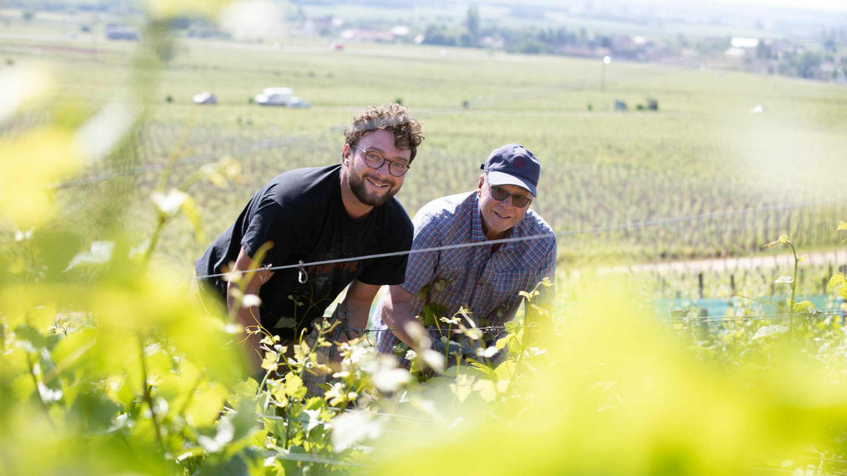 Domaine Amiot & Fils