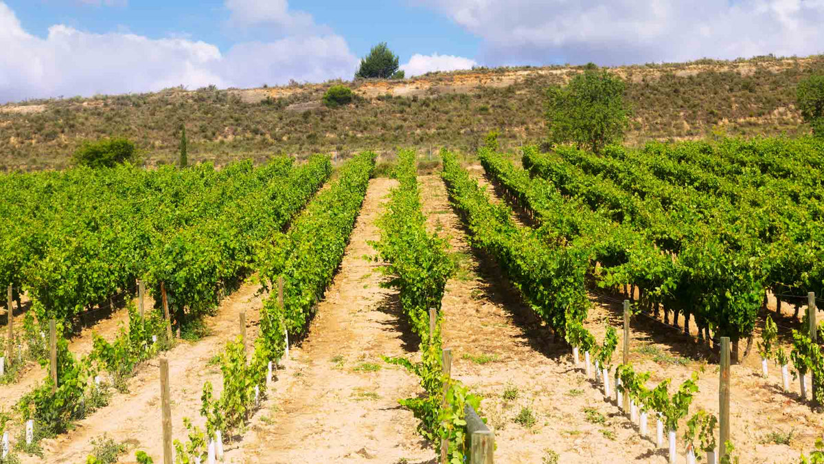 Domaine Bergeron