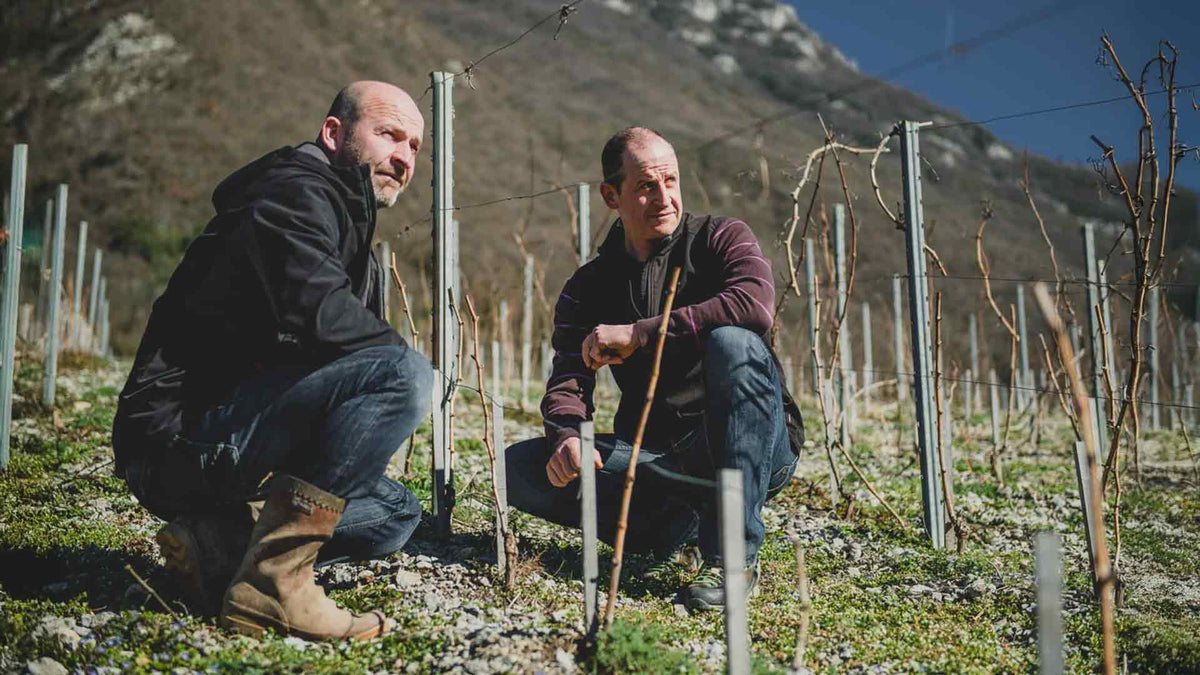 Domaine Berthollier