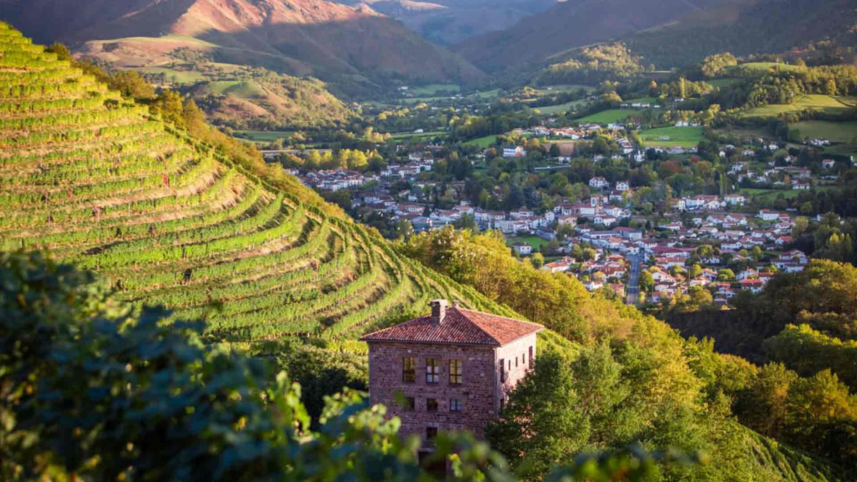 Domaine Brana