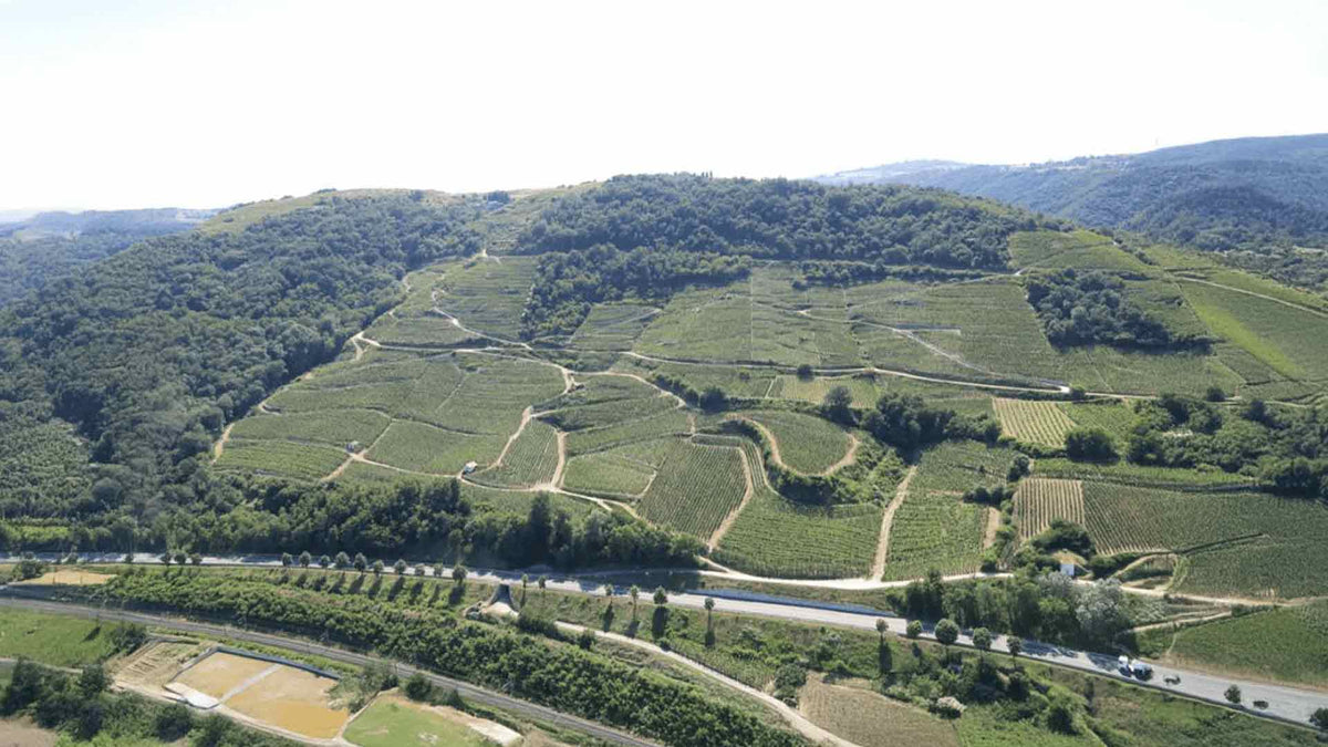 Domaine Coursodon