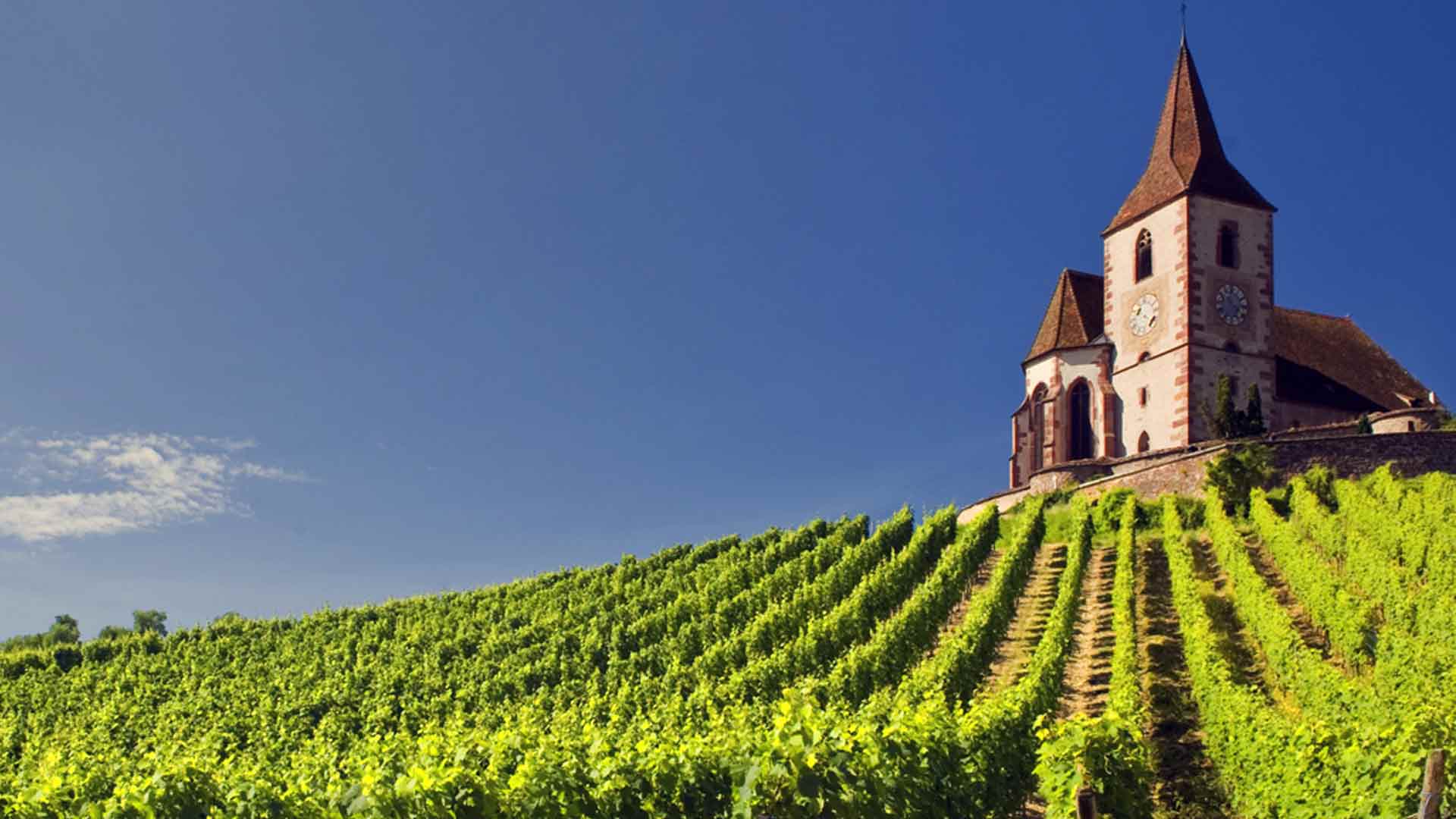 Domaine David Ermel
