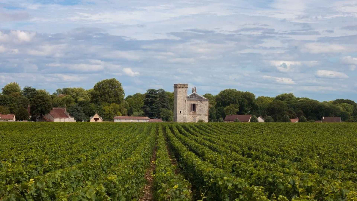 Domaine Defrance