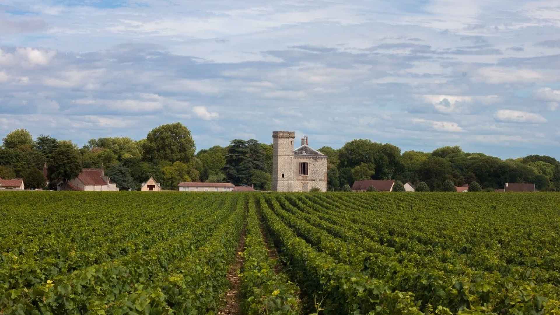 Domaine Defrance Image