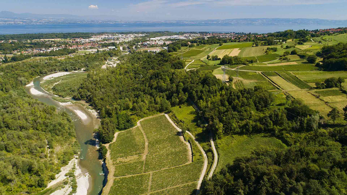Domaine Delalex