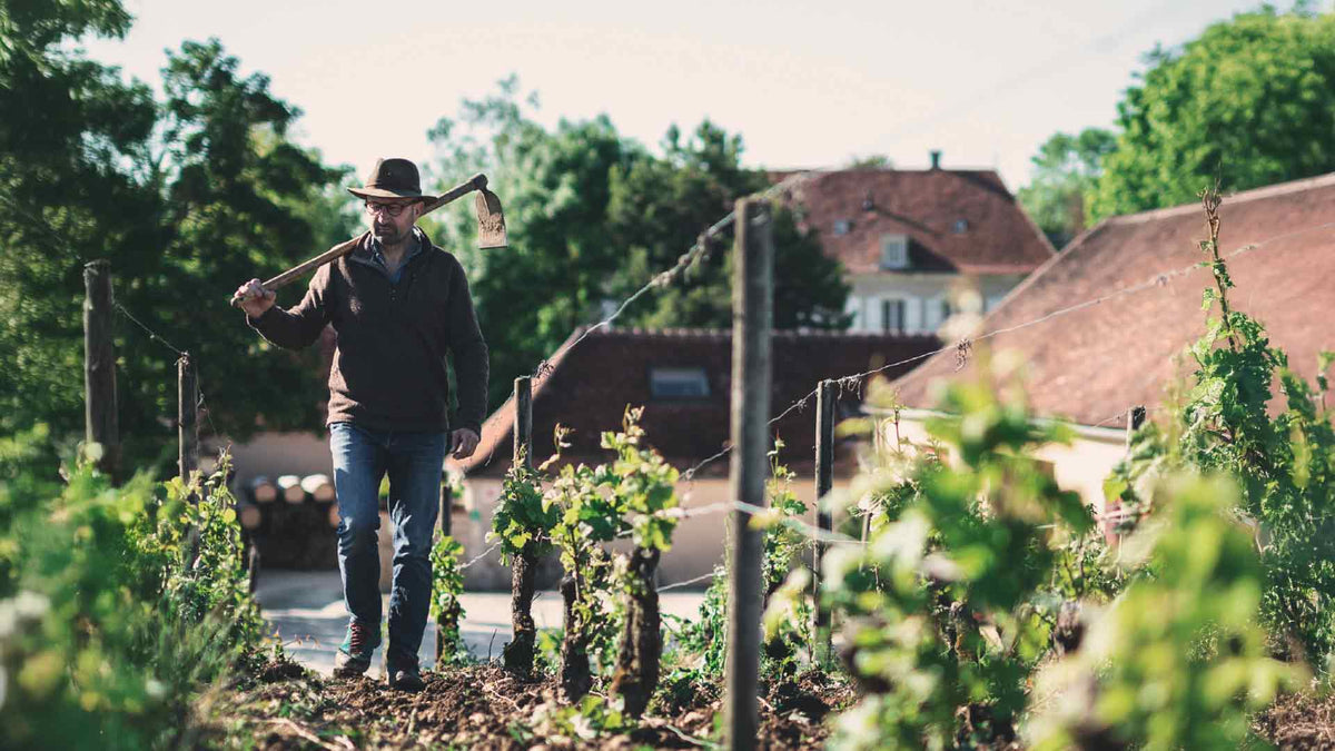 Domaine Dominique Gruhier