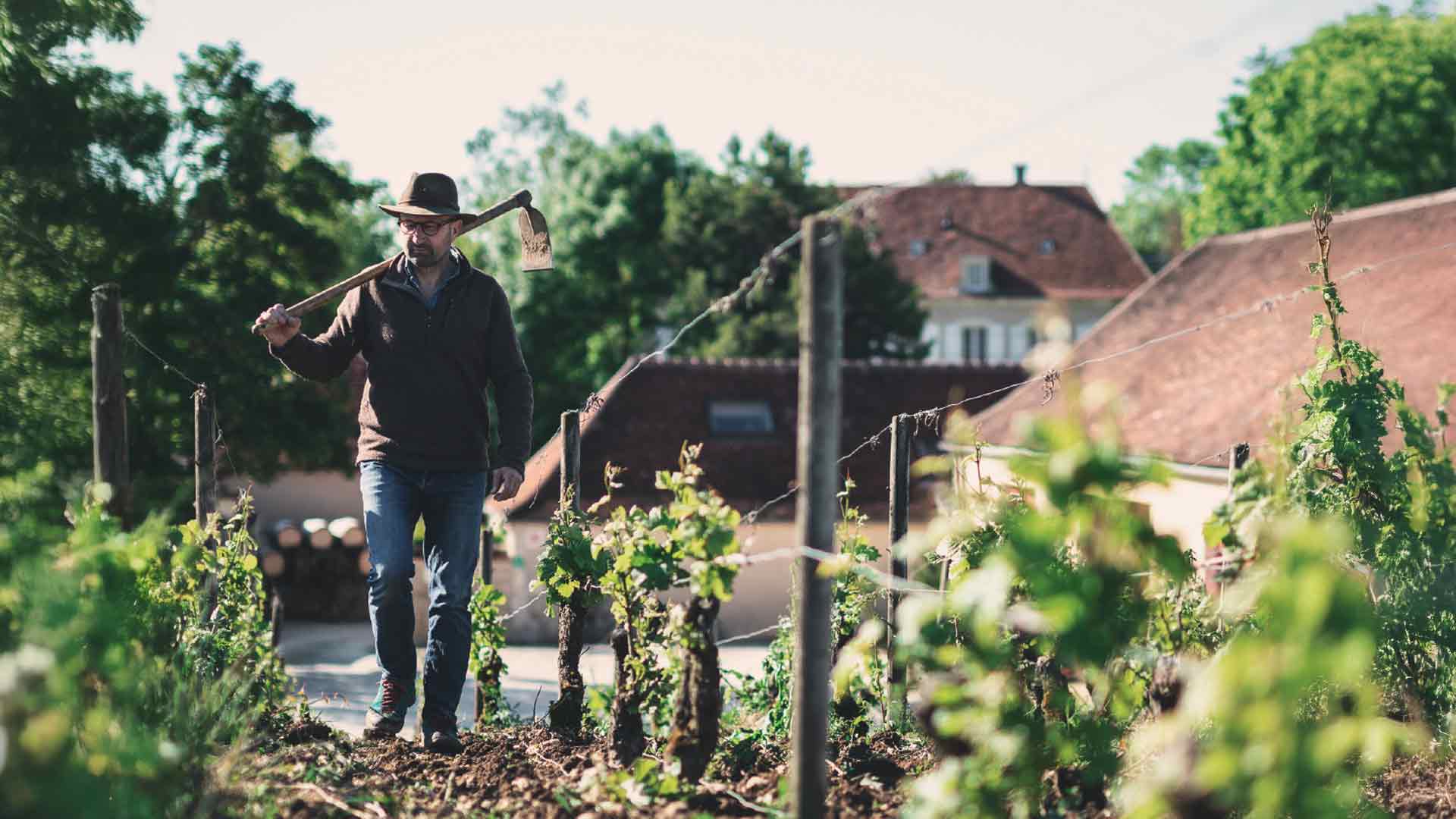Domaine Dominique Gruhier Image