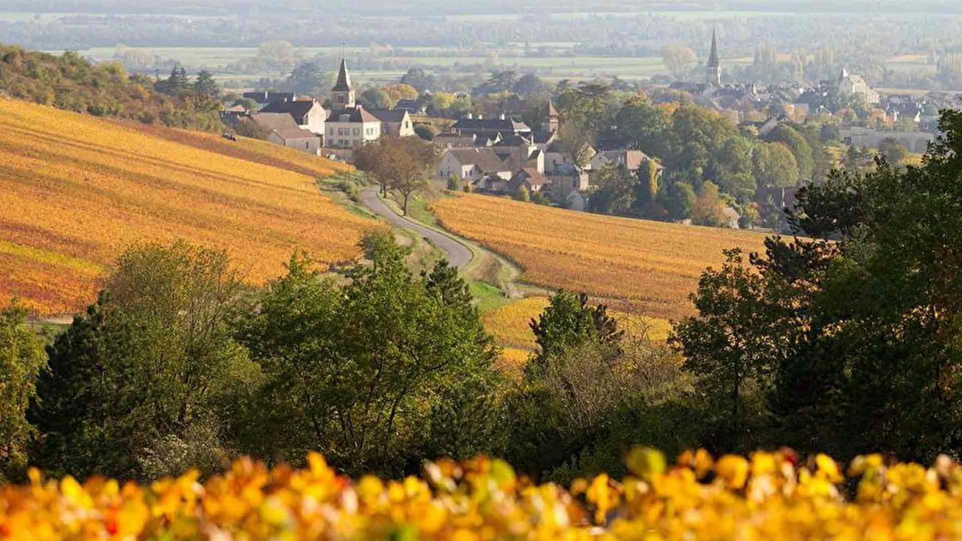 Domaine Douhairet-Porcheret