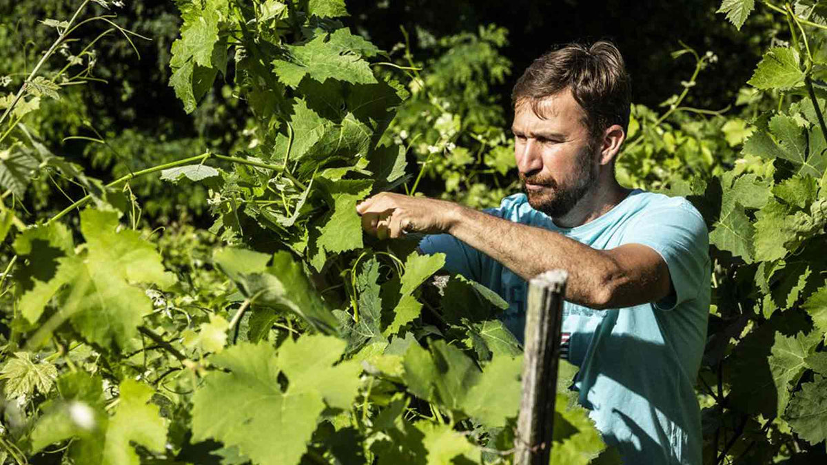 Domaine Garon