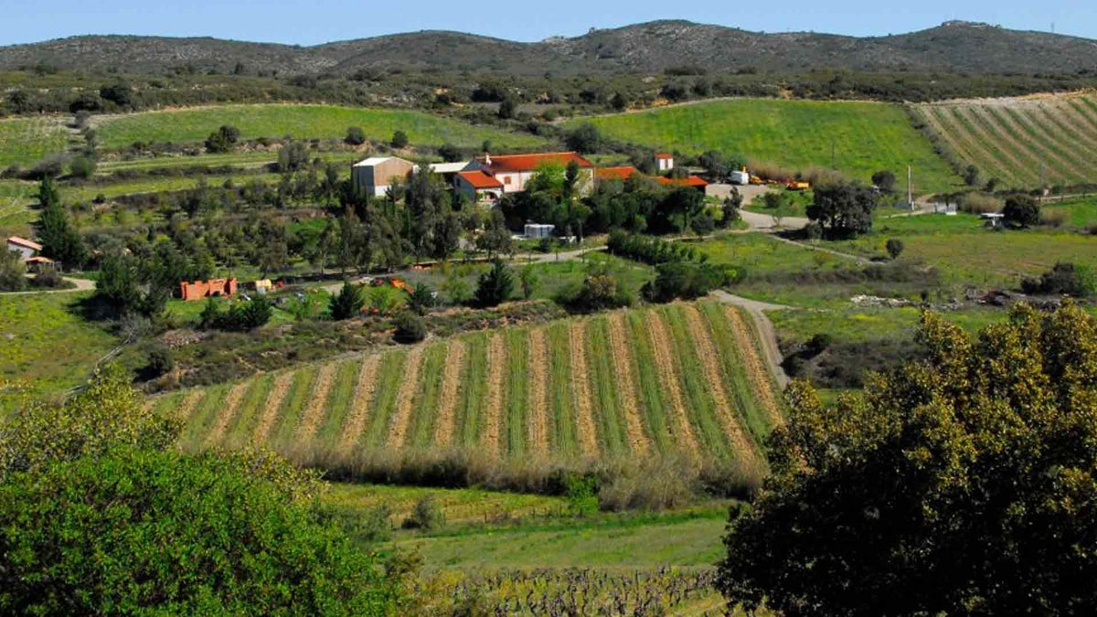 Domaine Gauby
