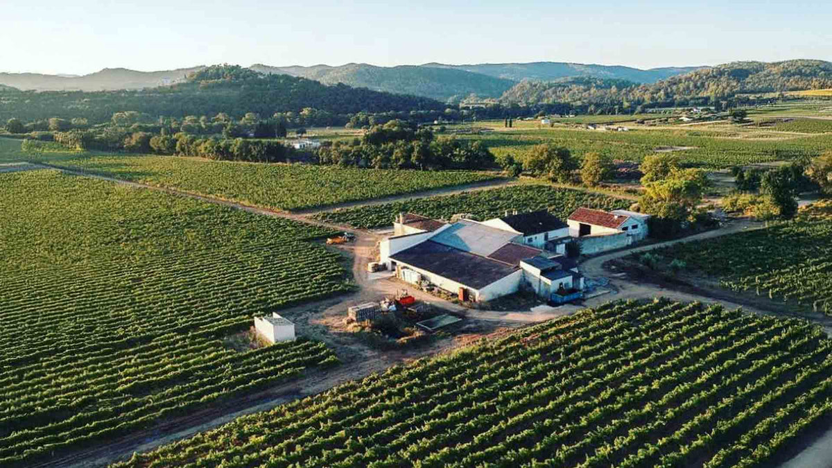 Domaine Kennel