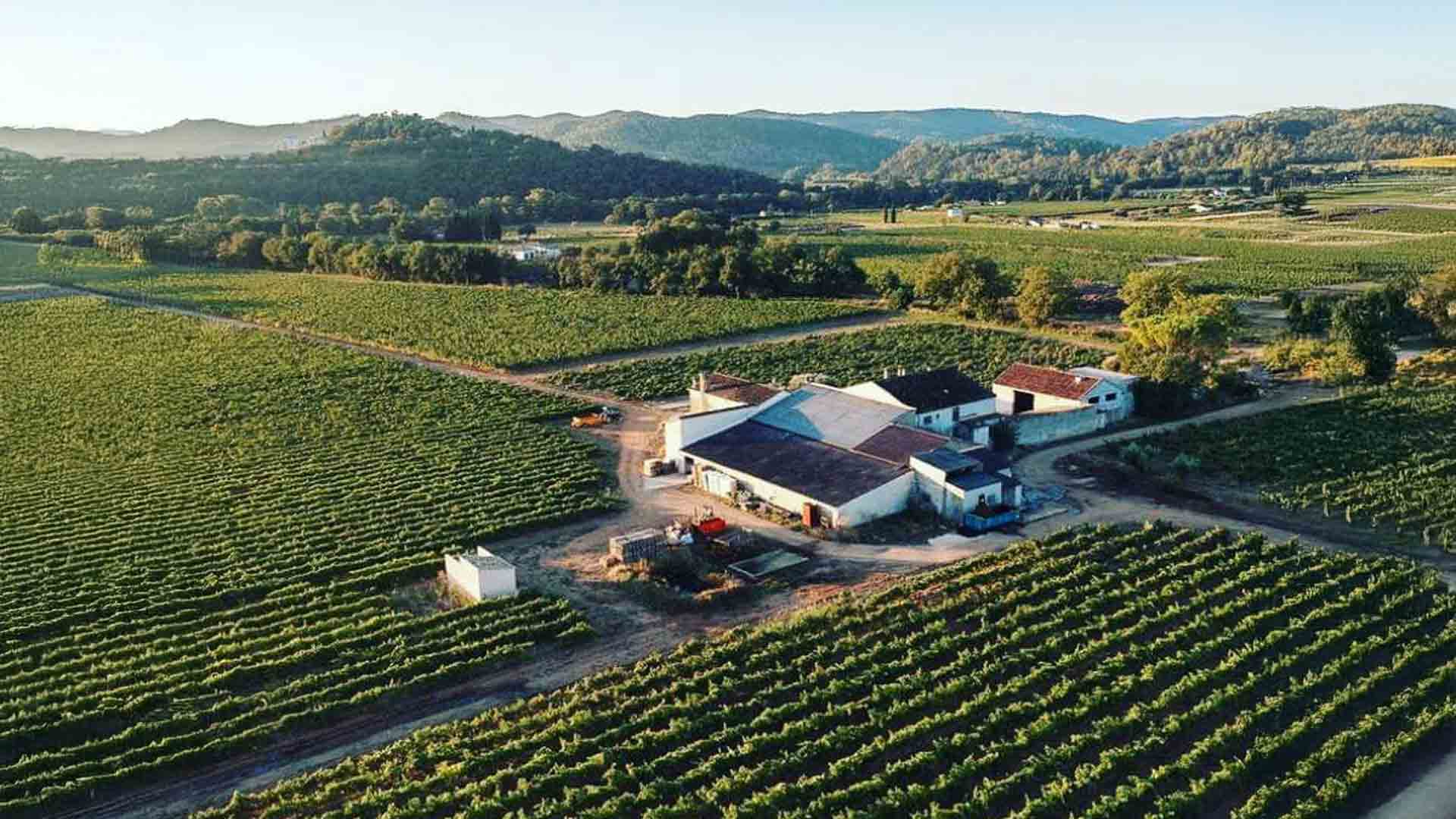 Domaine Kennel