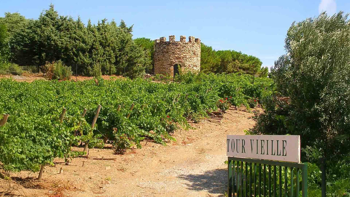 Domaine La Tour Vieille