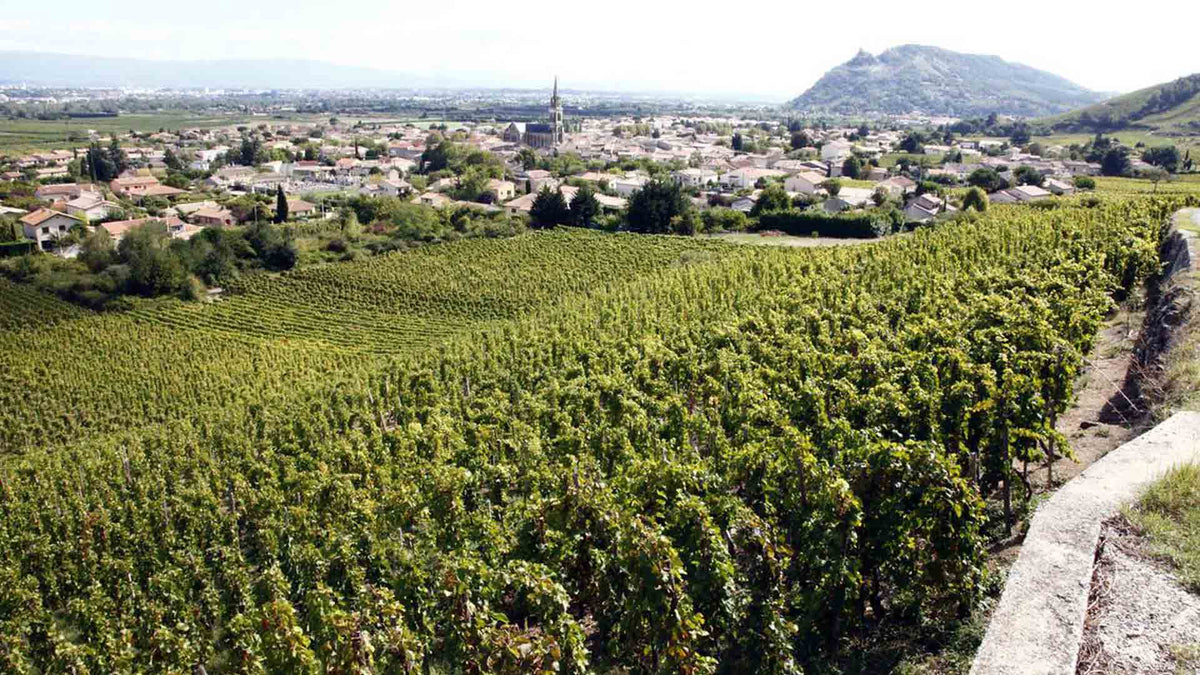 Domaine Lemenicier