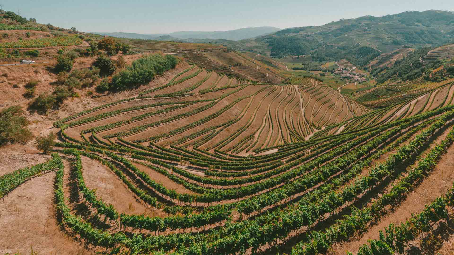 Domaine Lucien Aviet Image