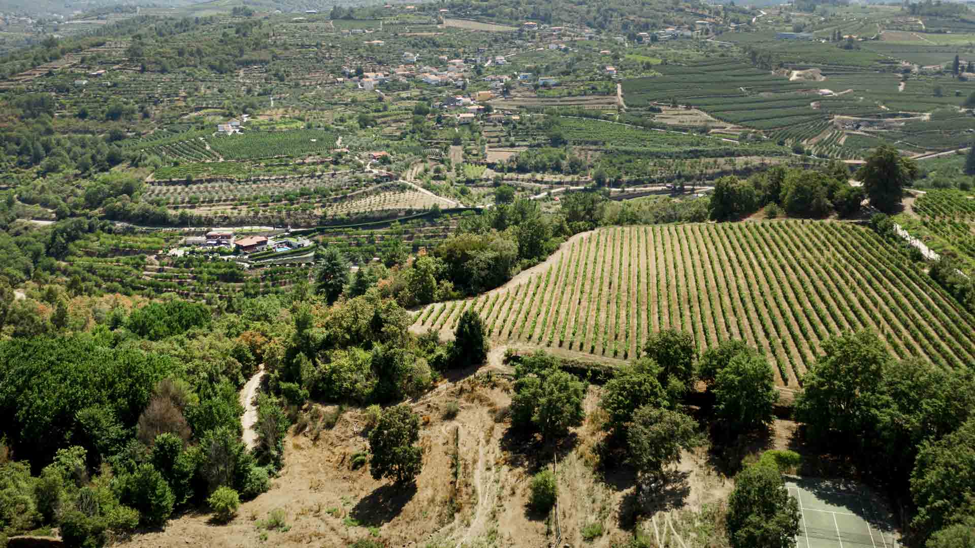 Domaine Macle