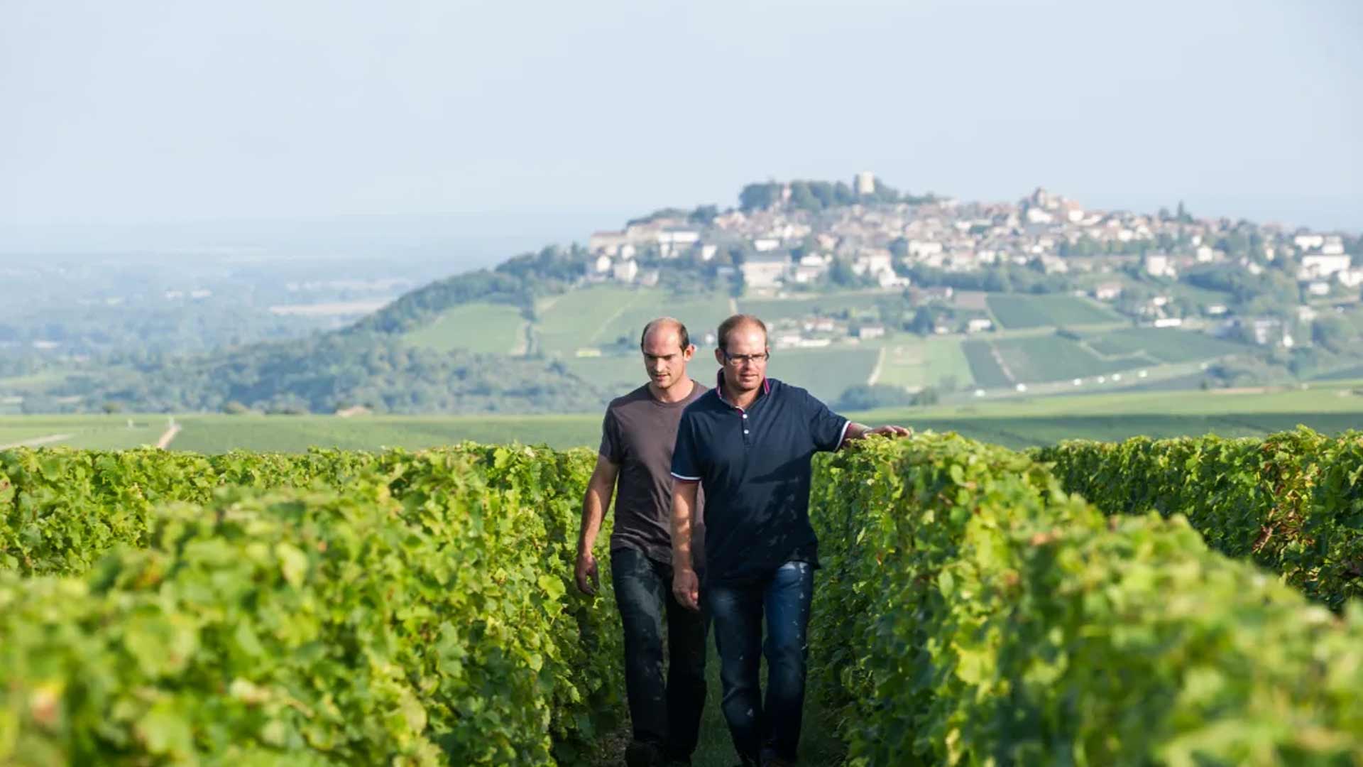 Domaine Matthias et Emile Roblin Image