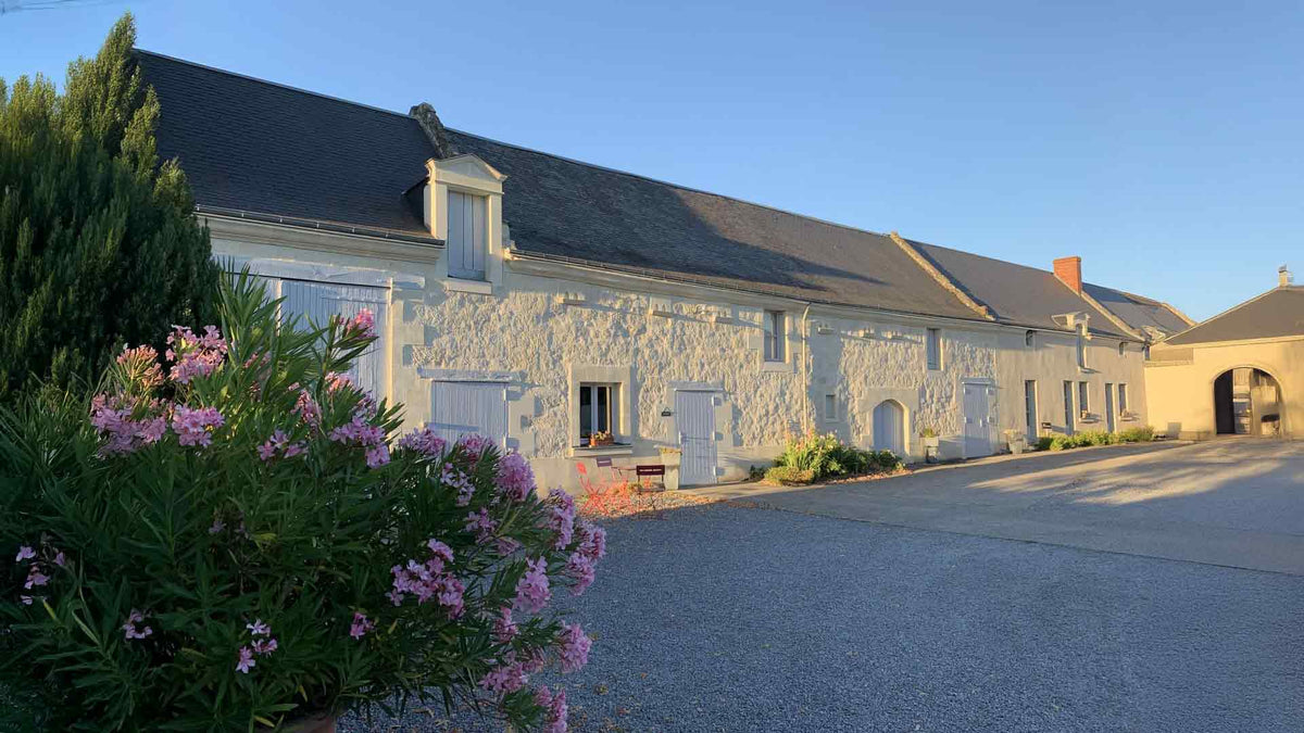 Domaine Olga Raffault