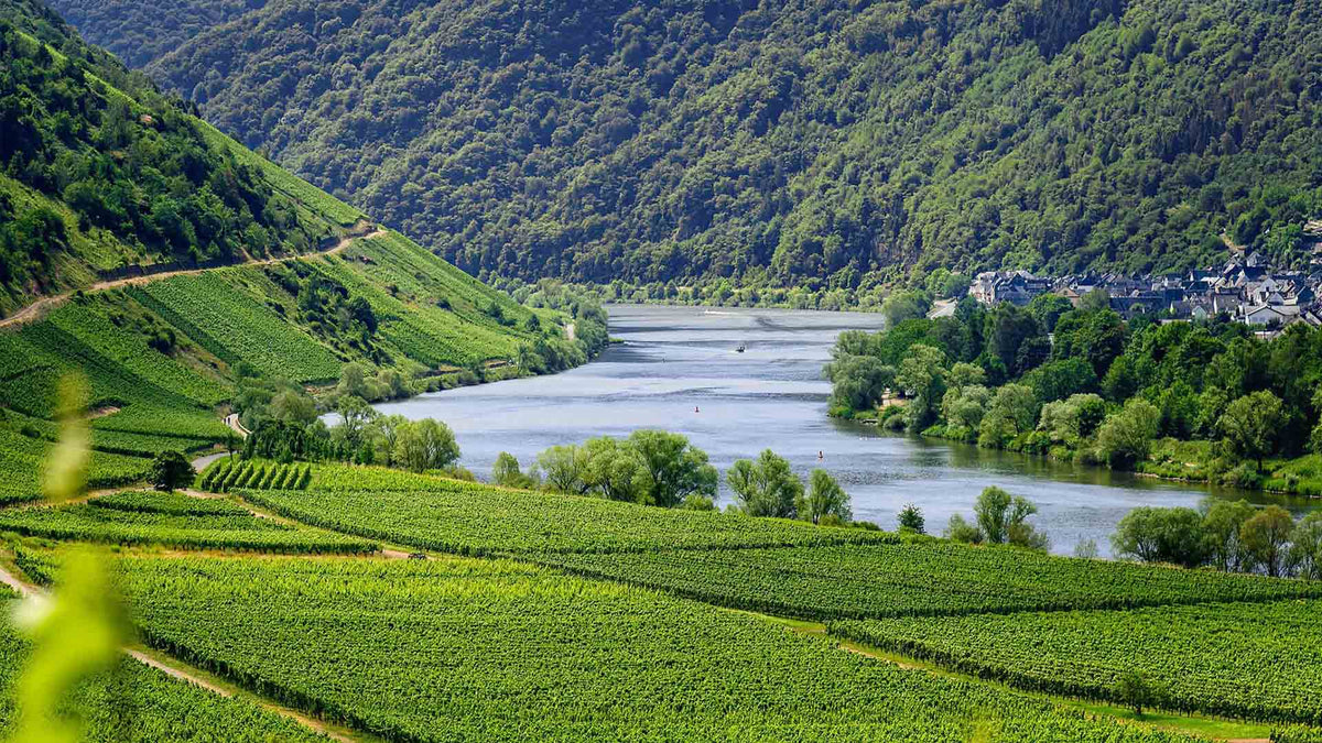 Domaine Patrick Baudouin