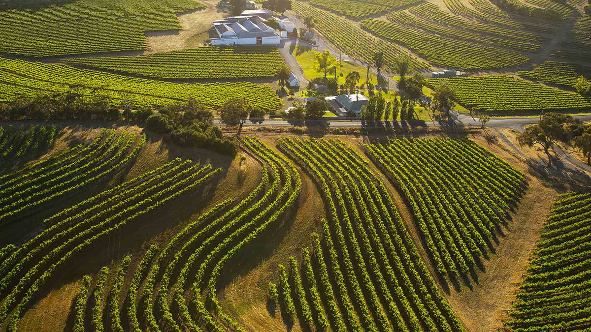 Domaine Penfolds