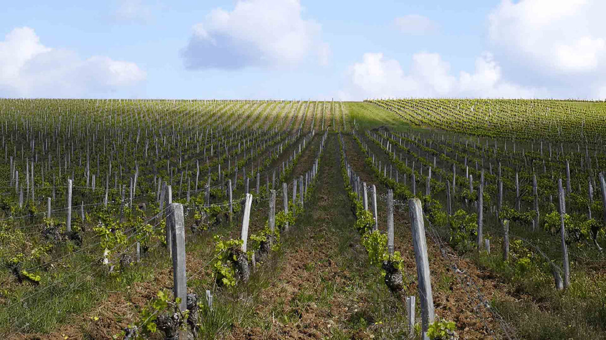 Domaine Philippe Gilbert