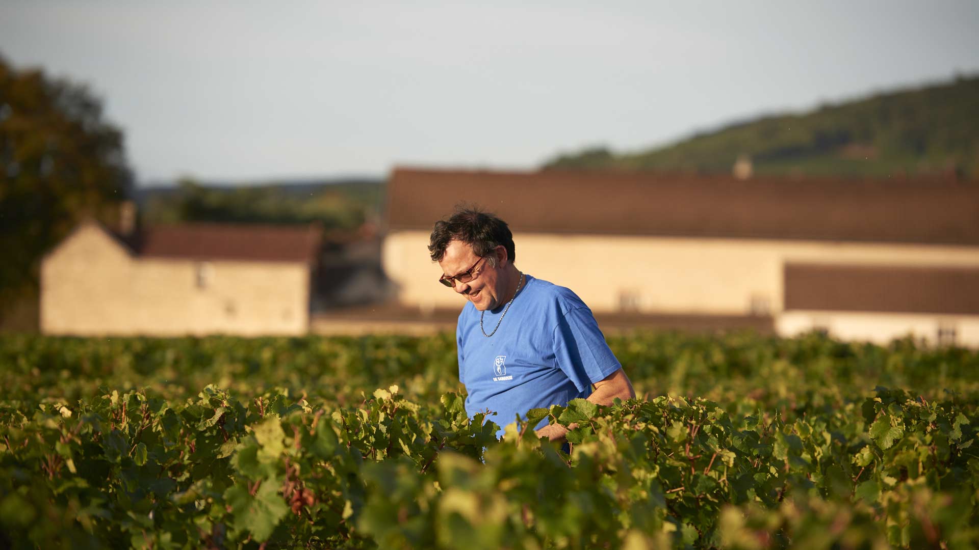 Domaine Rossignol Février Image
