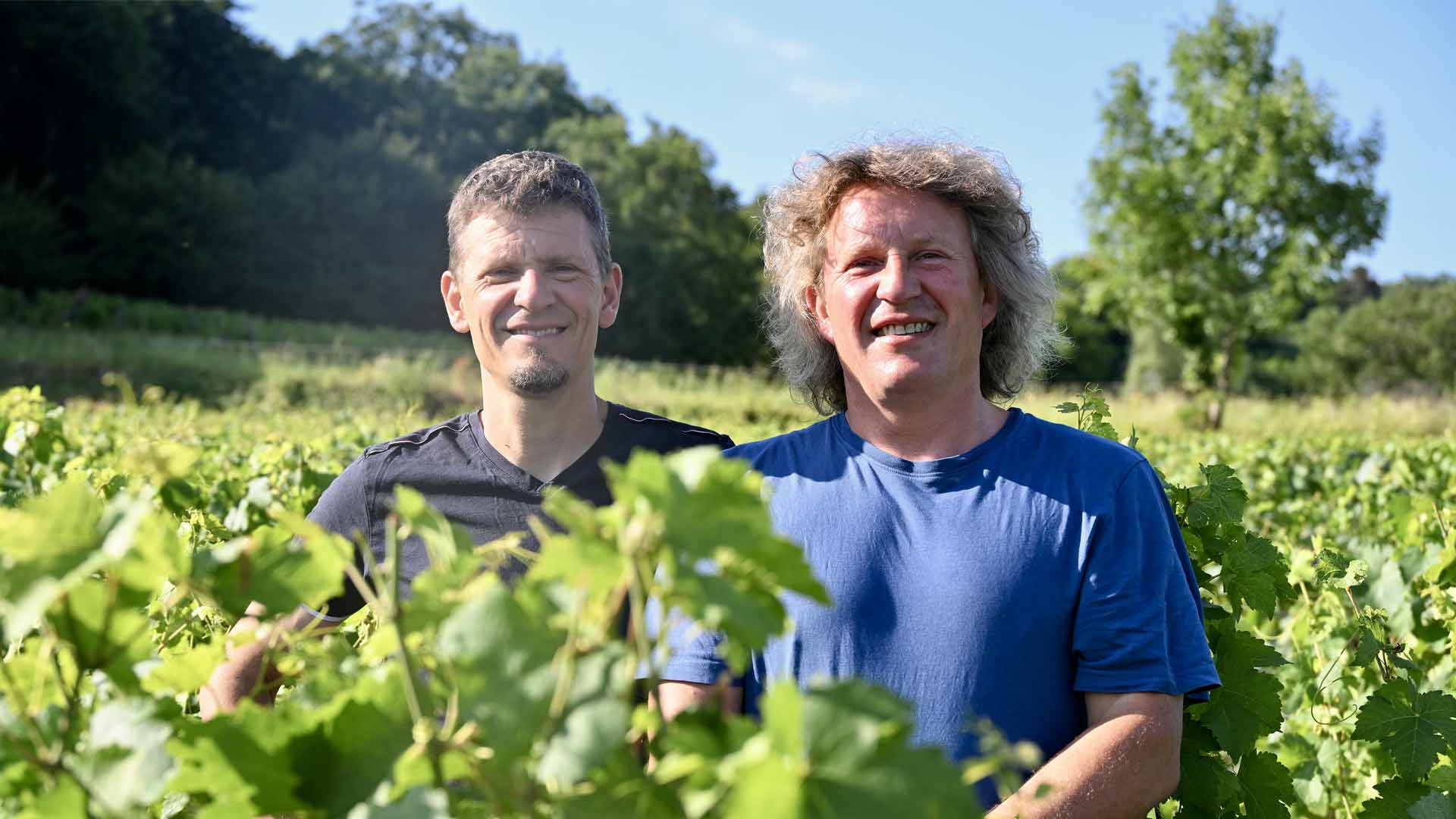 Domaine Tatraux Jean & Fils Image