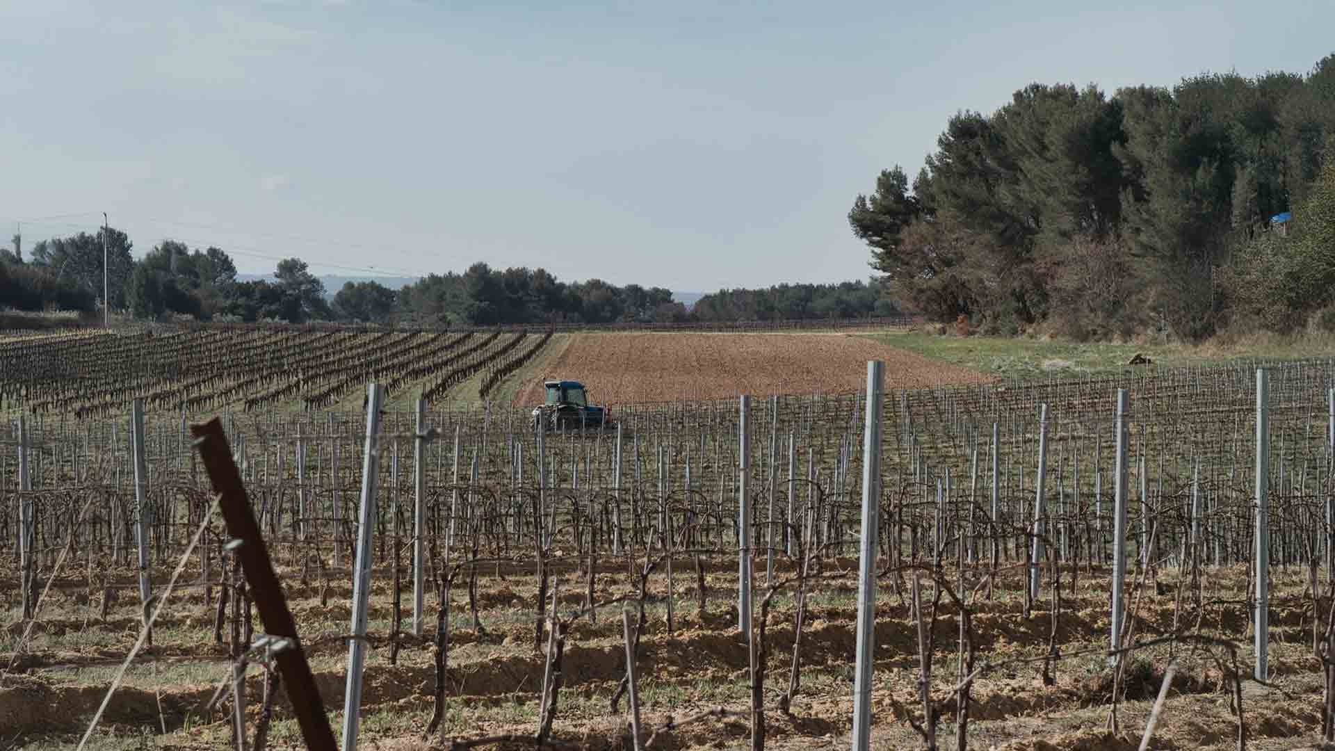 Domaine Val de Caire Image