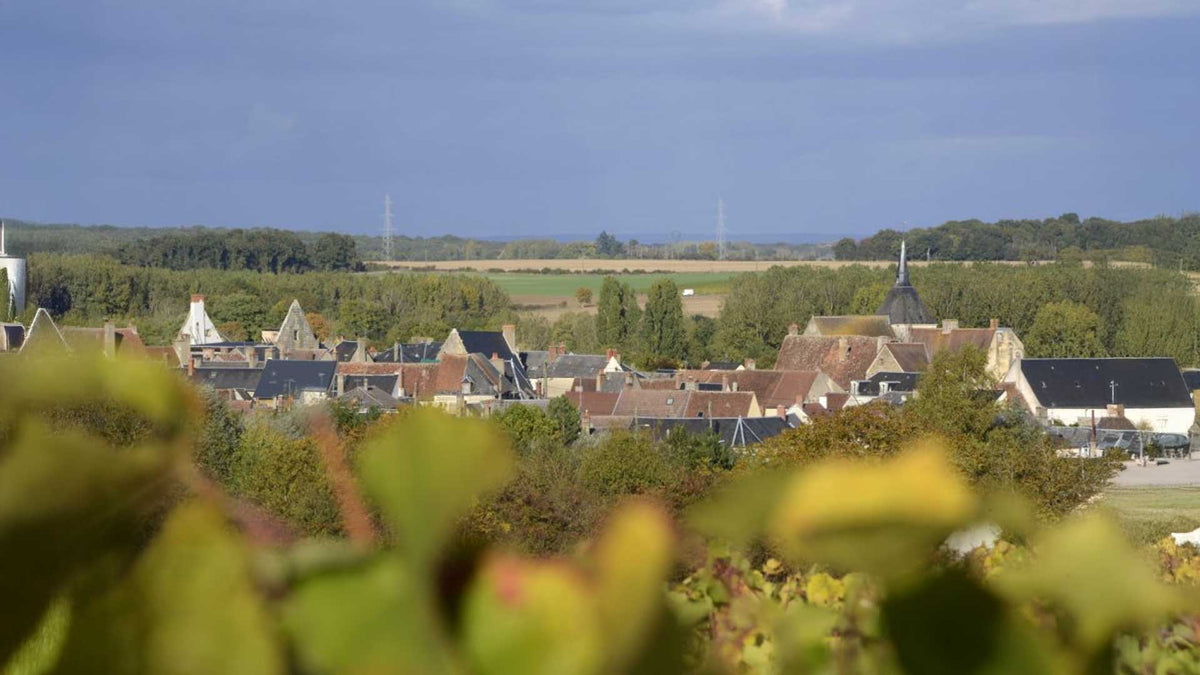 Domaine Valéry Renaudat