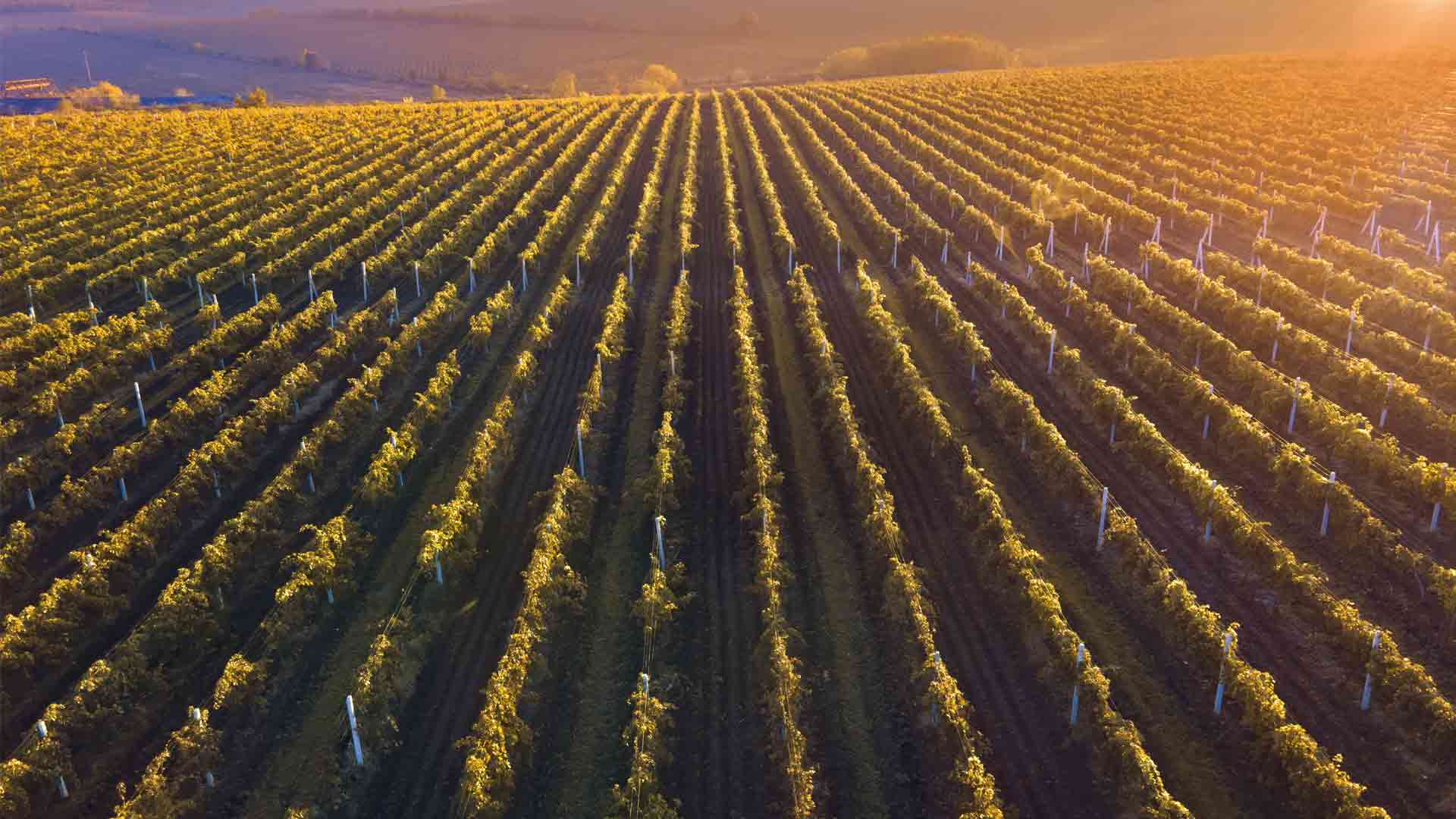Domaine de Bellene Image