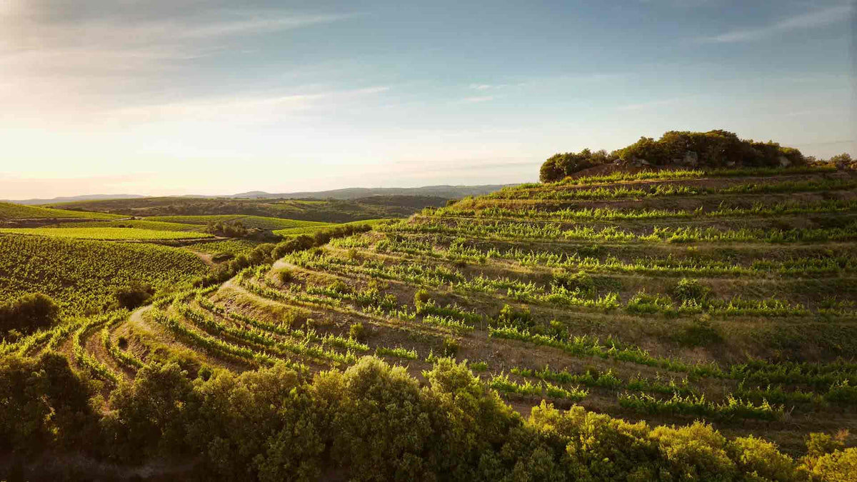 Domaine de Cébène